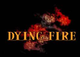 logo Dying Fire